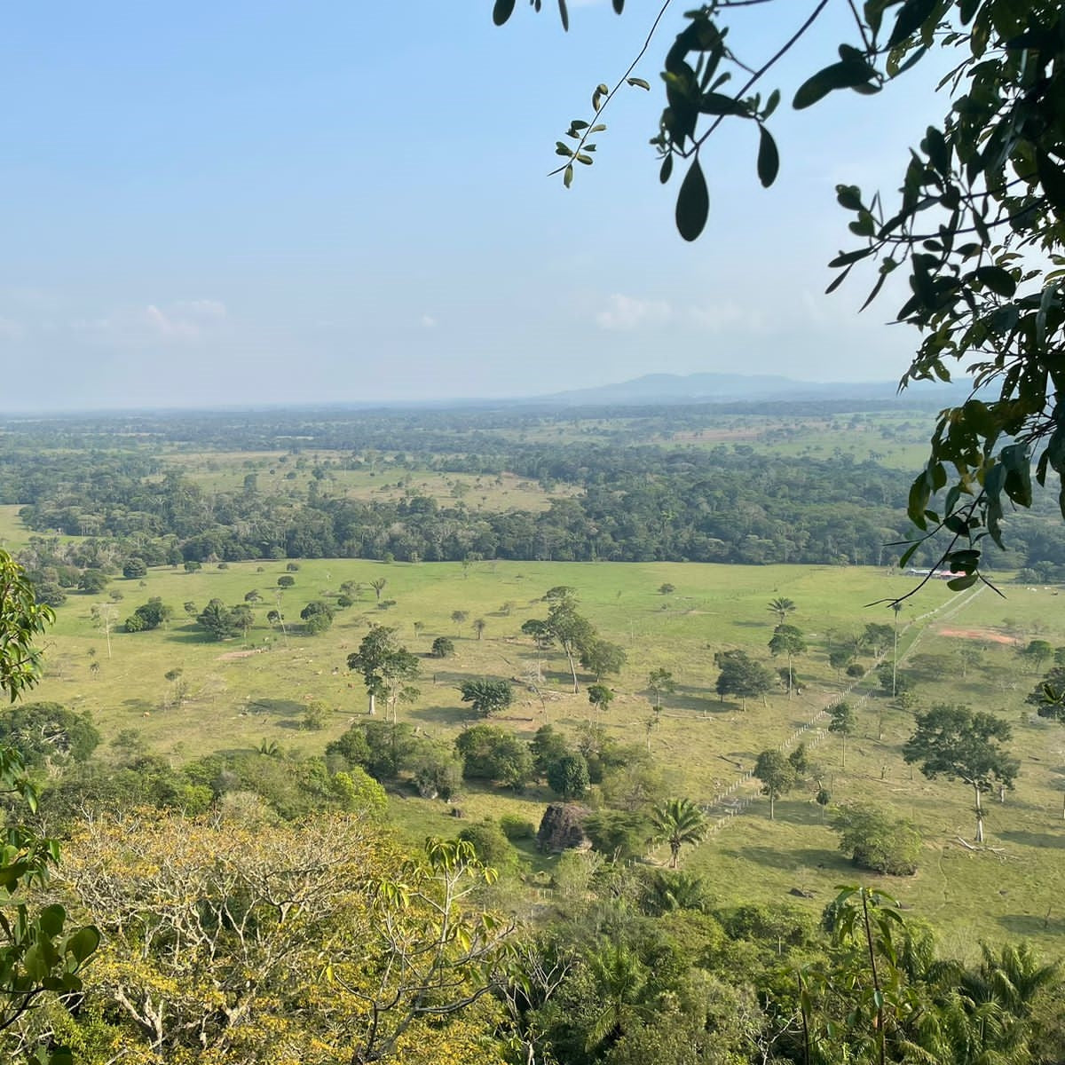 The largest Colombian emerald mine by 2024